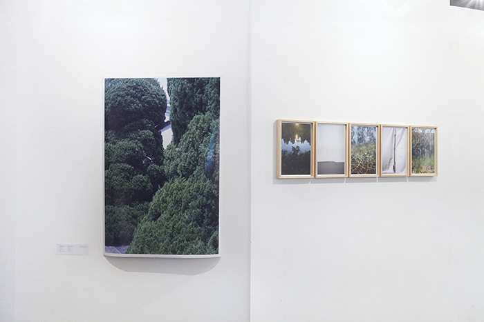 New Japanese Photography