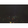 fluorescence24
