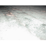 fog04