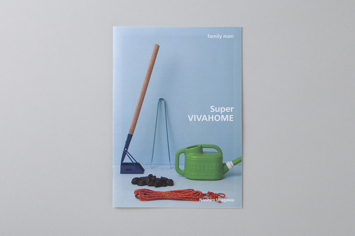 VIVAHOME01